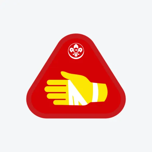 Cub: First Aid