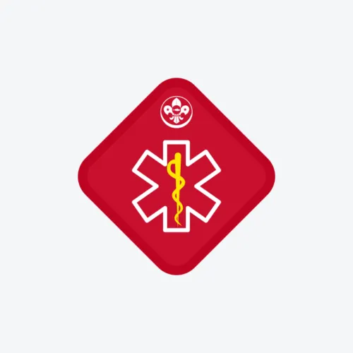 Scout: Ambulance