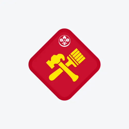 Scout: D I Y (Do It Yourself)