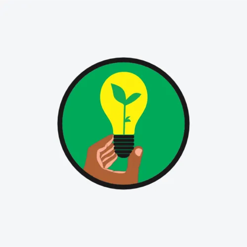 Scout: Energy Efficiency Badge