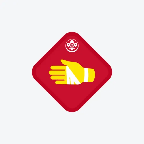 Scout: First Aid